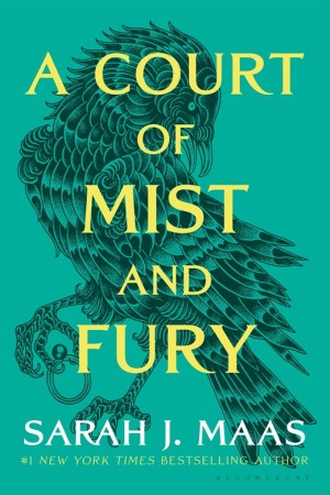 A Court Of Mist And Fury (A Court of Thorns and Roses #2)